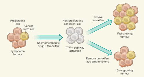 探索自然奧秘 自然科學(xué)研究的重大發(fā)現(xiàn)與深遠(yuǎn)意義